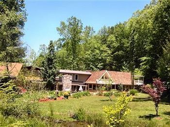 Rock Laurel Bed And Breakfast Candler Kültér fotó
